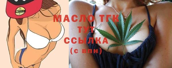 спиды Вяземский