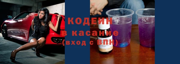 спиды Вяземский