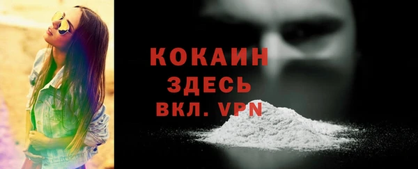 спиды Вяземский