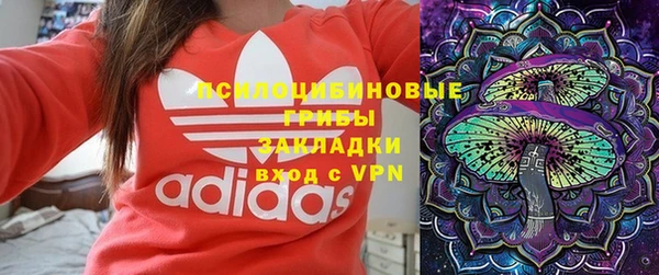 спиды Вяземский