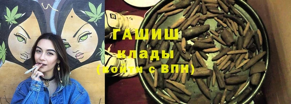 спиды Вяземский