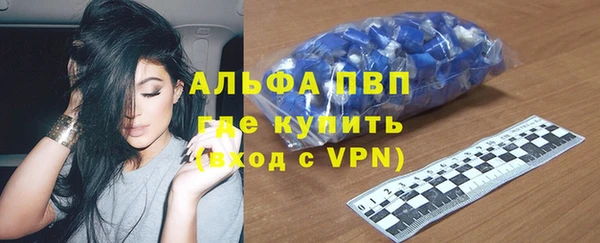 спиды Вяземский