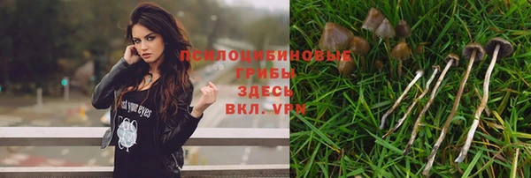 эйфоретик Вязьма