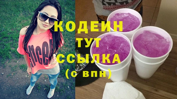 спиды Вяземский