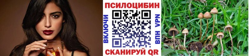 купить закладку  Красногорск  Галлюциногенные грибы прущие грибы 
